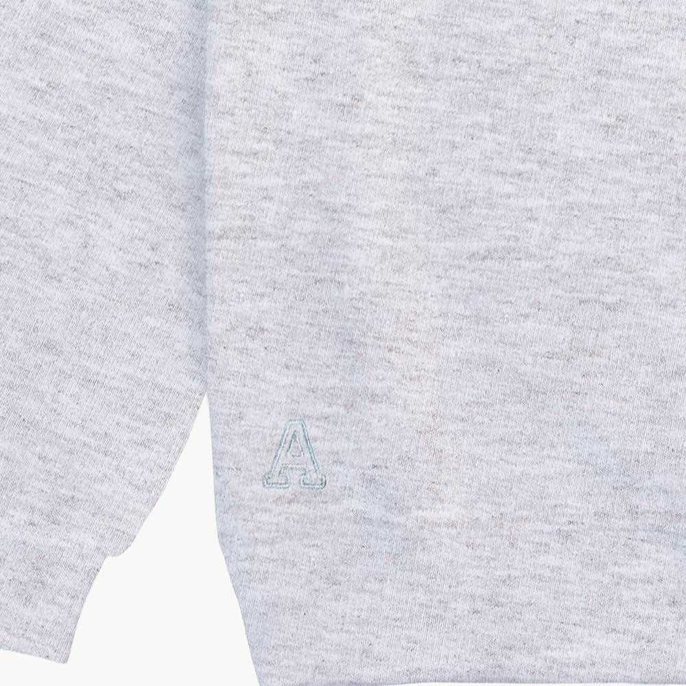 logo_gris_Anitials_1