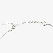 ANADIR_ALARGO_DE_5_CM_PLATA_DE_LEY_ANITIALS_1