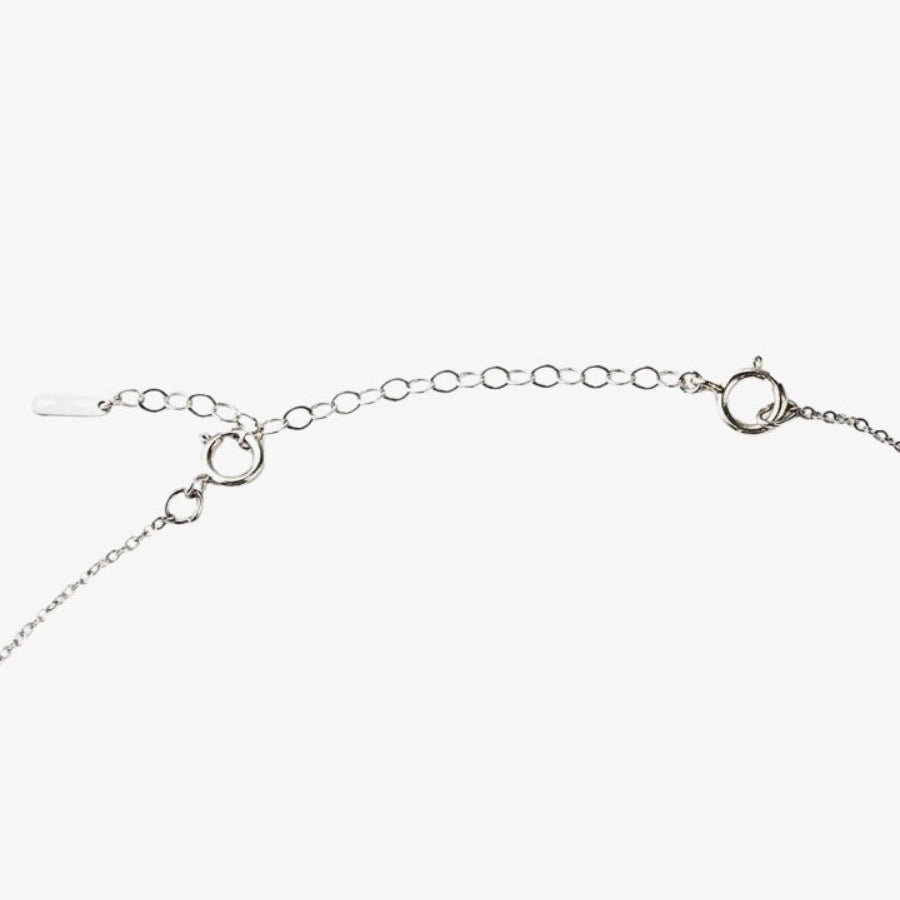 ANADIR_ALARGO_DE_5_CM_PLATA_DE_LEY_ANITIALS_1