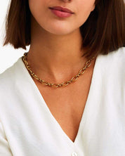 COLLAR_ESLABONES_XL_ACERO_DORADO_ANITIALS