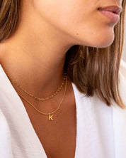 PACK_ESLABONES_INICIAL_MINI_ORO_ANITIALS